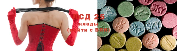 дживик Переславль-Залесский