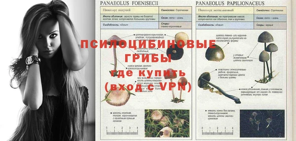 мдпв Остров