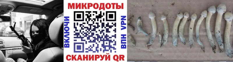 Псилоцибиновые грибы мицелий  Тавда 