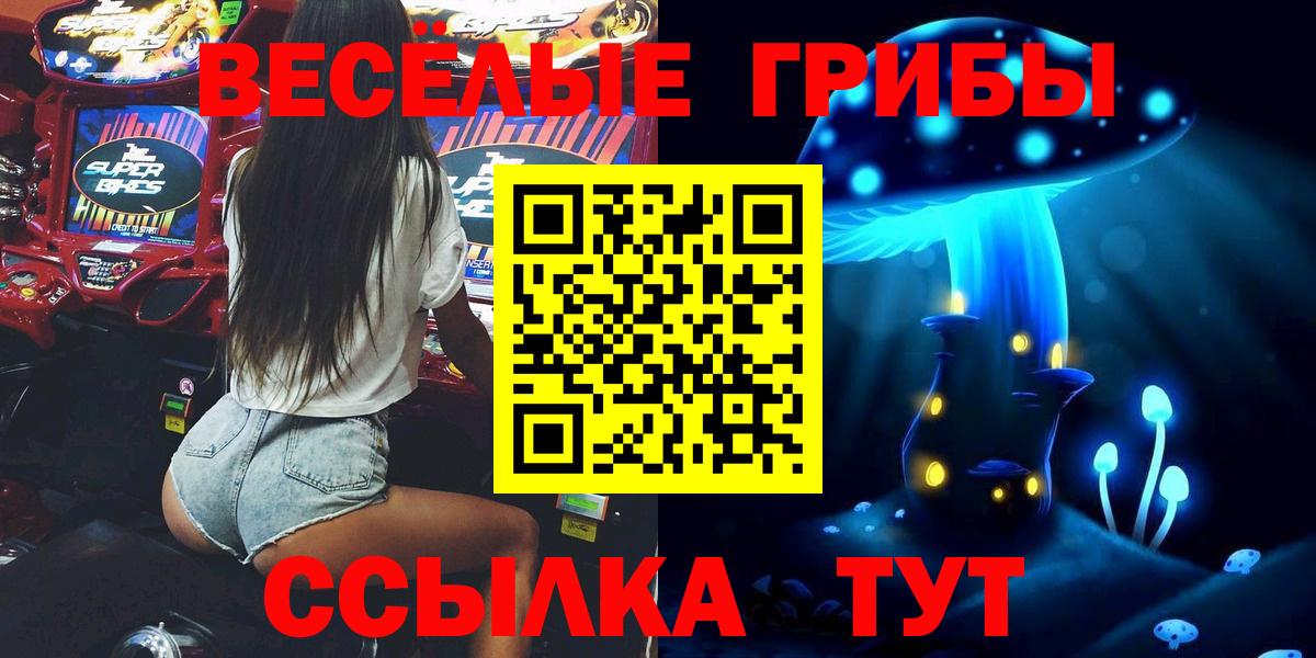 Псилоцибиновые грибы мицелий Тавда