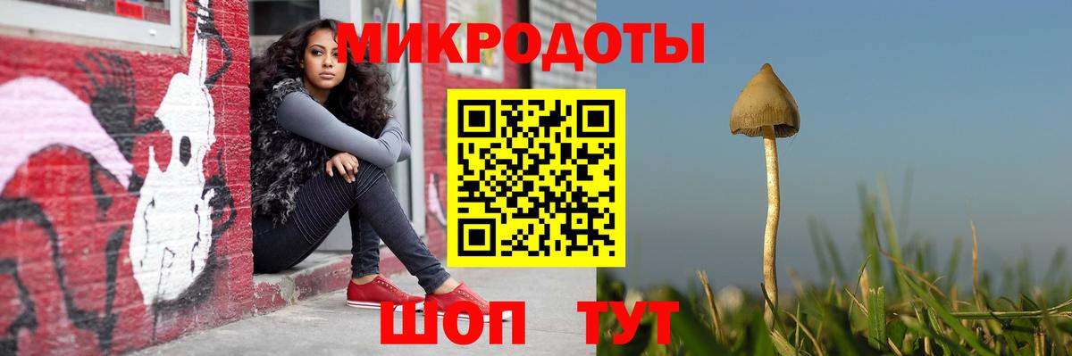 Галлюциногенные грибы Psilocybine cubensis  сколько стоит  Тавда  Вход с VPN 